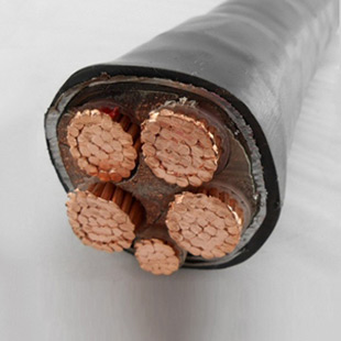 YJV XLPE insulated power cable (YJV, YJV22)